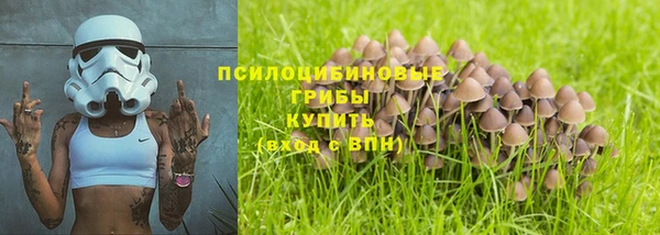 дмт Козловка